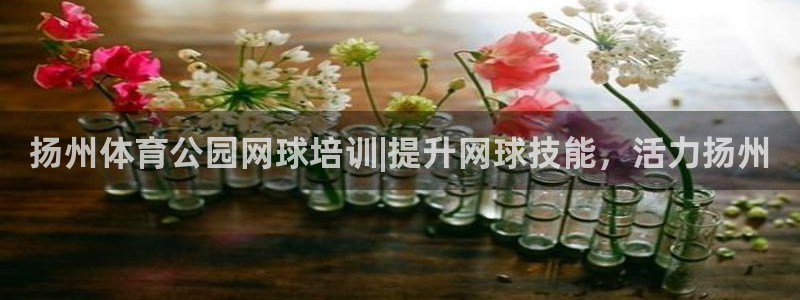 欧陆注册登录入口：扬州体育公园网球培训|提升网球技能