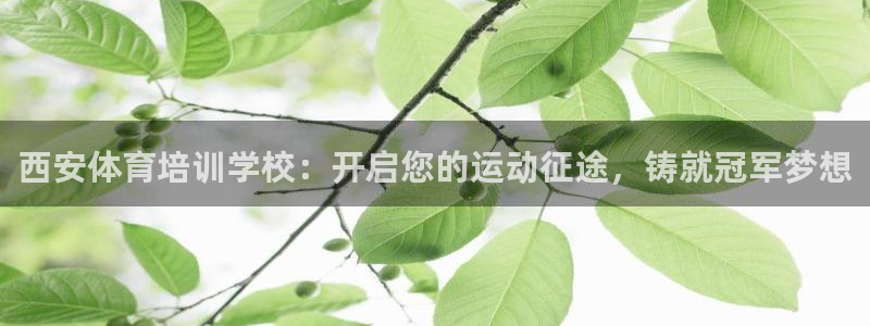 欧陆娱乐游戏特色：西安体育培训学校：开启您的运动征途，铸就冠