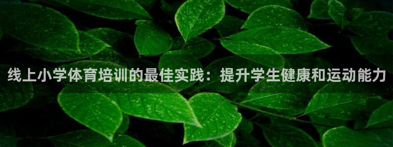 欧陆娱乐官网网址：线上小学体育培训的最佳实践：提升学